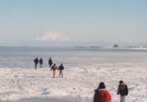 流氷の上を歩く